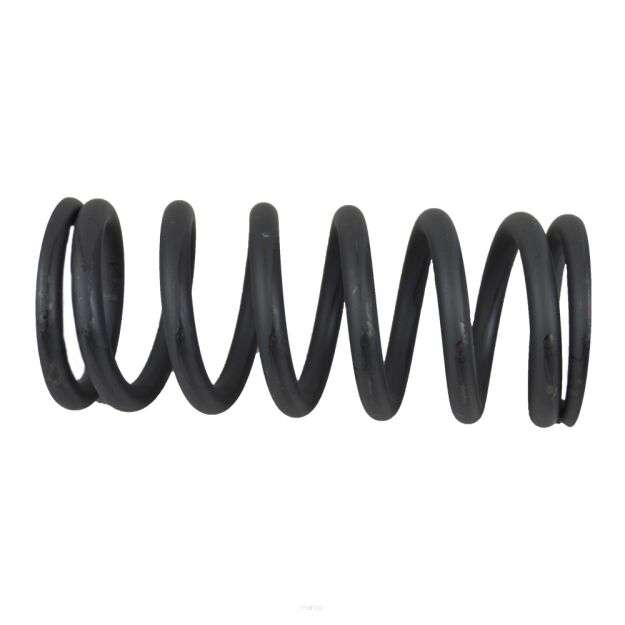 Sprężyna zwrotnicy osi przedniej 80271902