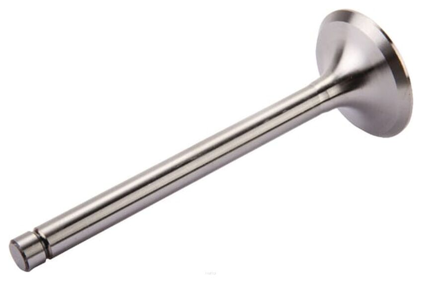 Zawór ssący 69010555