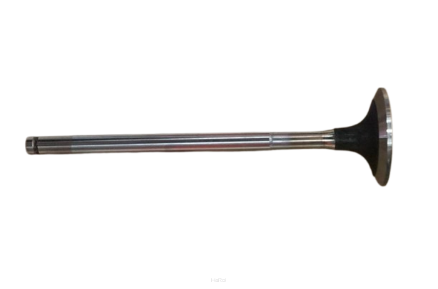 Zawór ssący 0.009.7264.2